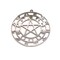 Stainless Steel Zodiac and Moon Phases Pentacle Pendant, 37x35mm
